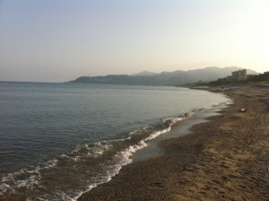 朝の瀬波 朝の瀬波